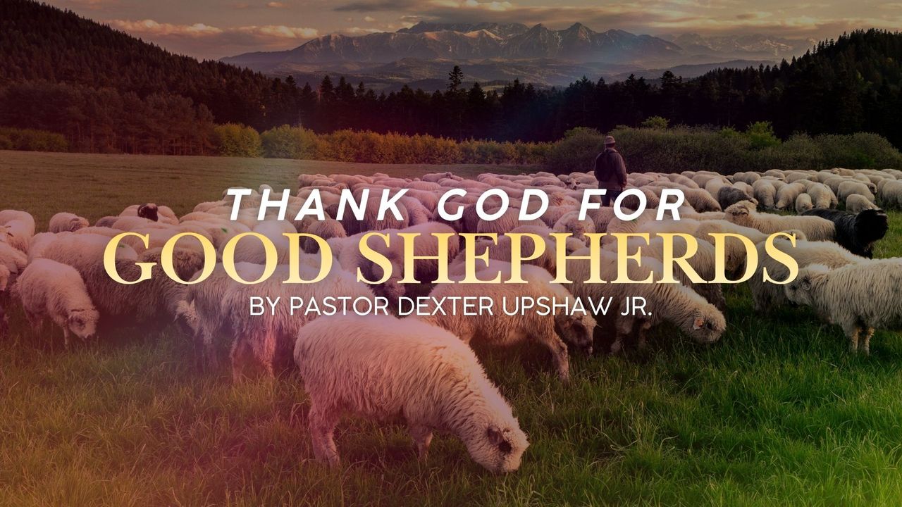 Thank God for Good Shepherds