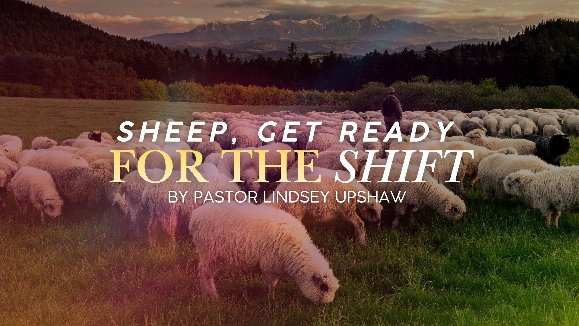 Sheep, Get Ready For The Shift